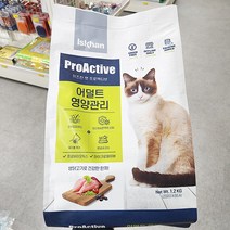 이즈칸 캣 프로액티브 어덜트 영양관리 1.2kg x 1개, 단품, 단품