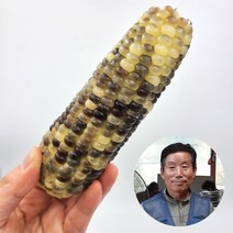 강원도 정선 냉동 찐 미흑찰옥수수 20개, 강원도 찐 냉동 흑찰옥수수 20개
