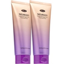 네이처수 미용실 극손상 단백질 트리트먼트 셀프 LPP 영양제 대용량 전문가용 헤어클리닉 헤어팩, 200g, 2개