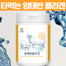 호주 양태반 콜라겐 저분자 피쉬 콜라겐 펩타이드 피부 뼈 어린 생선 어류 프락토올리고당 유산균 비타민 미네랄 Ovine Placenta 단백질 정제 타먹는 파우더 230g, 230g X 3개