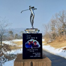 골프 트로피 홀인원 패 싱글 이글 감사패 우승컵 우승트로피 라운딩 기념 크리스탈 스포츠, 1개