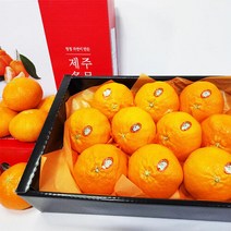 이제주몰 한섬누리 서귀포올레 레드향 선물용 2.5kg(8-12과), 단품없음