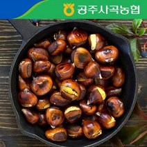 푸른들 [공주사곡농협] 2022년 공주 대보 칼집밤 4kg(대), 옥광밤 대 4kg