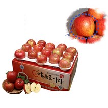 껍질째 먹는 전통 밀양사과 10kg 40과