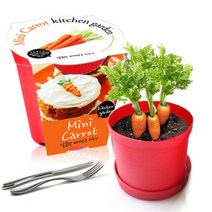 [천삼백케이] [농업회사법인 세경팜 주식회사] 세경팜 컬러키친가든 미니당근 식물키우기 텃밭가꾸기, 그린, 스윗바실