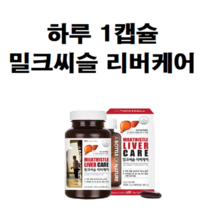 아침 저녁 간에좋은 간 하이퍼 밀크 시슬 씨슬 실리마린 130mg 1000 영양제 음식 식품 효능 효과 관리, 60캡슐