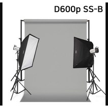 [다복점빵] 포멕스 사진조명 스튜디오 촬영 세트 (D600p SS-B) 이동형 배경시스템 (배경지135cm 그레이) 쇼핑몰 의류 패션 피팅 인물 프로필 추천