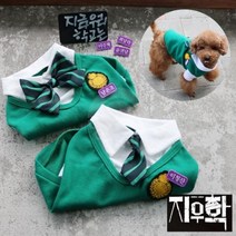 정품 강아지교복 코코아허니 지금 우리 학교는 교복, 여자 리본 색 L 대