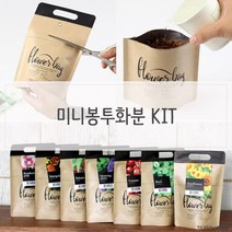 키우기쉬운식물 미니 방수화분 재배 세트, 종류_메리골드
