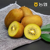 자연맛남 [자연맛남] 농협선별 전남 골드키위 2kg (가정용), 1