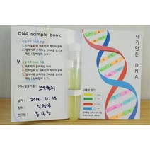 식풀세포 DNA 추출 실험 과학 교구 10인 관찰용 과학용품 학습용