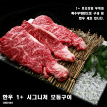 한우 1플러스 시그니처 모듬구이 특수부위, 단품, 단품