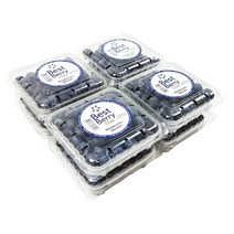 칠레 블루베리 125g x 8팩 블루배리 대용량 생 복분자, 상세페이지 참조