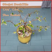 진성산업 오브제데크타일(36P).조립식마루발판.욕실매트.현관발판.테라스바닥재 데크타일 베란다 타일 조립마루 욕실발판 바닥타일 욕실, 05).민트그린36P