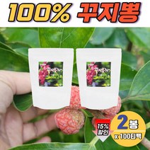 국산 꾸지뽕 열매 차 티백 구찌뽕 100% 국내산 암나무 산약초 꾸찌뽕