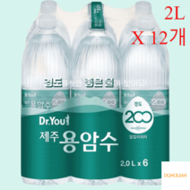 오리온 대용량생수 생수2L 닥터유 제주용암수 2L X 12개, 오리온 닥터유  제주용암수 2L 12개