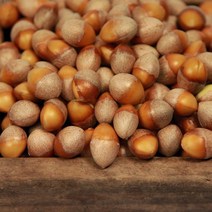 순창 은행 열매 500g~1kg 햇 은행 알 깐은행 피은행 은행나무 열매 생은행 토종은행, 1kg 대