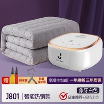 차박전기장판 싱글 전기 온열 매트 [독일브랜드] 온수 장판 물순환 물장판 2인 온돌가열, 인텔리전트 서모스탯 + 고급 매트리스- 오너가 추, 180x250cm