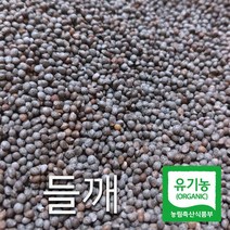 산들바람 2022년산 국산 유기농 생 들깨 500g, 1개