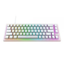 XTRFY 정품 Xtrfy K5 컴팩트 RGB 투명 화이트 미국 레이아웃 235733