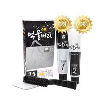 먹물머리 1분 새치 염색약, 흑갈색, 5개