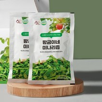 황금이네 미나리즙 대용량 1박스(50포), 단품, 단품
