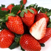 채홈 산지직송 고당도 논산딸기 설향 딸기 500g 700g 킹스베리 딸기 650g 특과 특대과 왕특과 생딸기 선물세트, 설향 딸기 700g*2
