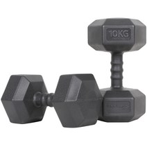 아이워너 맨즈 육각아령 2개세트 3~10kg 덤벨, 10kg(2개입), 2개