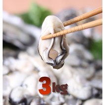 슬기로운 구매생활!~ (보관용으로 얼리기 최적기) 통영생굴 횟감용 1kg. 2kg. 3kg, 1박스