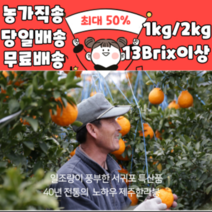 제주 한라봉 천혜향 카라향 가정용 선물용 프로미귤 1kg 2kg 2.5kg, 한라봉 2.5kg/대과/6~9내외