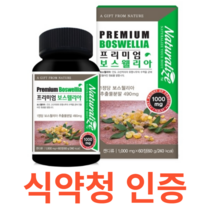 네추럴라이즈 프리미엄 보스웰리아 식약처 식약청 인정 인증 해썹 haccp 인도 유향나무 식물성 원료 테르페노이드 아연 비타민D 마그네슘 리모넨 셀레늄 판톤텐산 추출분말, 60정X15개