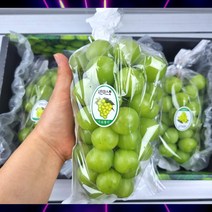 산지직송 프리미엄 고당도 샤인머스켓 가정용 선물용, 고급형 2kg (3수)