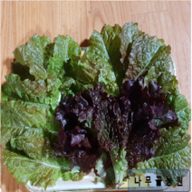 남원 나무골농원 적상추(600g 1kg 2kg 4kg), 1박스, 600G