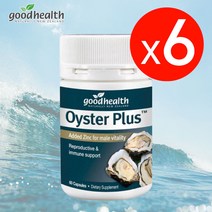 굿헬스 오이스터 플러스 (굴 추출물) 60캡슐 6개, 60정