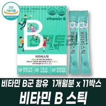 비타민 B군 맞춤영양제 필수비타민 비타민BC 시니어 온가족 건강식품 니아신 판토텐산 어린이건강식품 엽산 티아민 리보플라빈 나이아신, 1개월분 11박스, 11개
