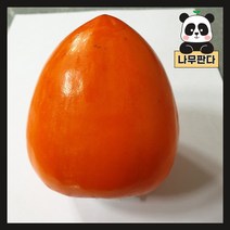 (나무판다) 감나무 묘목 시리즈, 3. 차량단감 접목1년