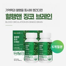 깜빡하는 습관 기억력 집중력 저하 두뇌 뇌 머리 혈액 혈관 혈행 순환 개선 관리 에 좋은 징코 은행잎 추출물 영양제, 2BOX(6개월분)
