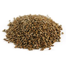 산그리메 국내산 약초 건조 결명자 200g 말린 결명자