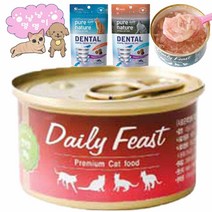 데일리 피스트 고양이 캔 80gX24개입 연어맛 덴탈 트릿 추가
