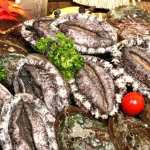[완도바다참전복] 활 참전복 (중/대) 1kg(11-13미), 단품