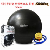 필라테스 짐볼 안티버스트 짐볼 필라테스볼 짐볼 55CM