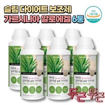 장 내장지방 다트 6통 체지방감소 컷팅제 대 50대 출산후 남