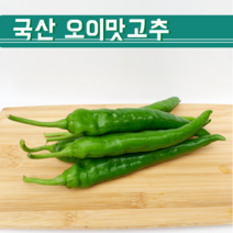 오이고추아삭 국산 오이맛고추 1KG 3KG 5KG