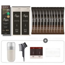 시즌2 씨드비 물염색 저자극 새치 커버 염색약 11회분+시즌2 염색키트, 와인브라운