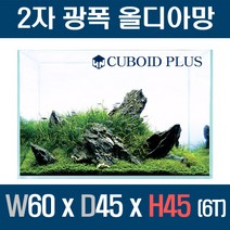 큐보이드 디아망노멀 2자광폭 올디아망어항 604545 (6T)