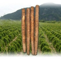 정도원 장마상품 /장마중품/ 장품소자/2kg 4kg, 2kg (장마 알뜰마), 1개