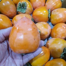 과일짚 햇 대봉감 홍시 대봉 10kg 5kg, 5kg 중대과 15-20