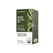 내츄럴플러스 차태현 위건강 헬리코박터케어 60정 / 감초추출물 위점막보호, 60정(1개월) x 1개