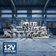 Bosch Professional 12V System 무선 편심 샌더 GEX 12V-125(샌딩 디스크(125mm) 1x 샌드페이퍼 먼지 봉투 포함 L-BOXX 136에 배터리 및 충전기 없음)-30250, 50x 샌드페이퍼 엑스퍼트 C470(8홀 포함), L-BOXX에서, Ø 125mm, K 120