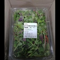 베이비채소 어린잎 혼합 100G, 단품